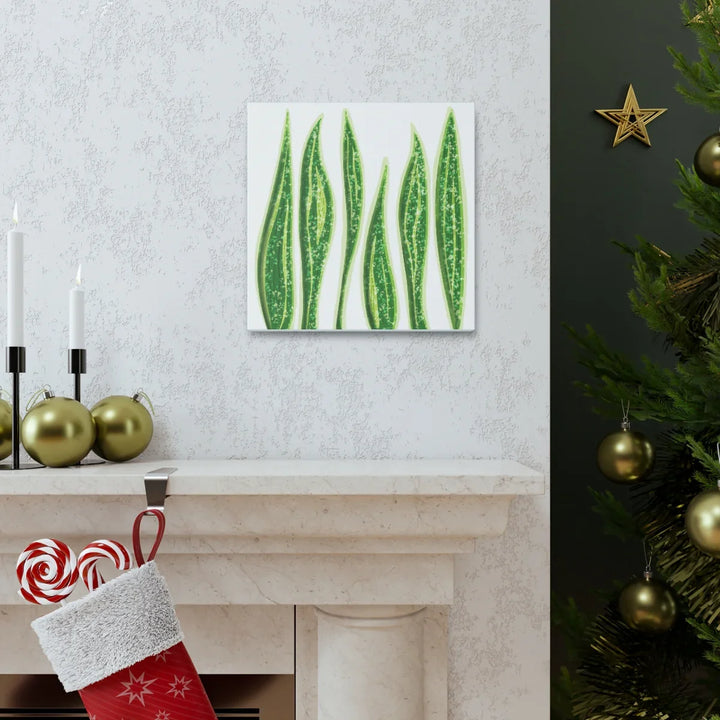 Snake Plant Canvas | Botanical Canvas Decor - Matte Finish Artwork for Living Room - Laura Christine Photography & Design