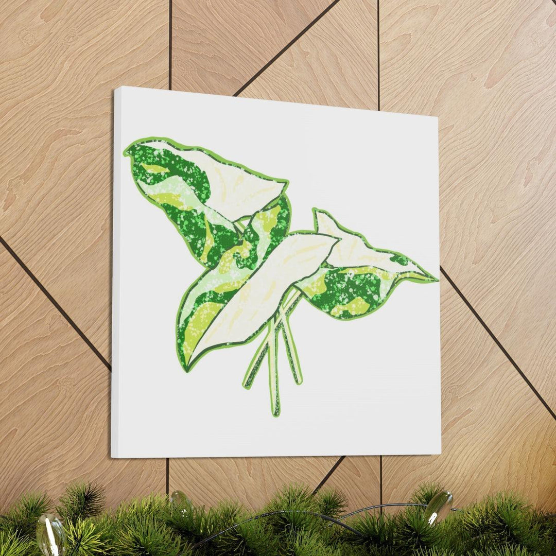 Marble Syngonium Canvas - Botanical Canvas Art Print | Durable Cotton Matte Finish - Laura Christine Photography & Design