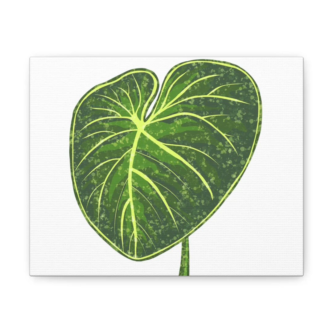 Philodendron Gloriosum Canvas - Stretched Canvas Art Print | Matte Indoor Wall Art - Laura Christine Photography & Design
