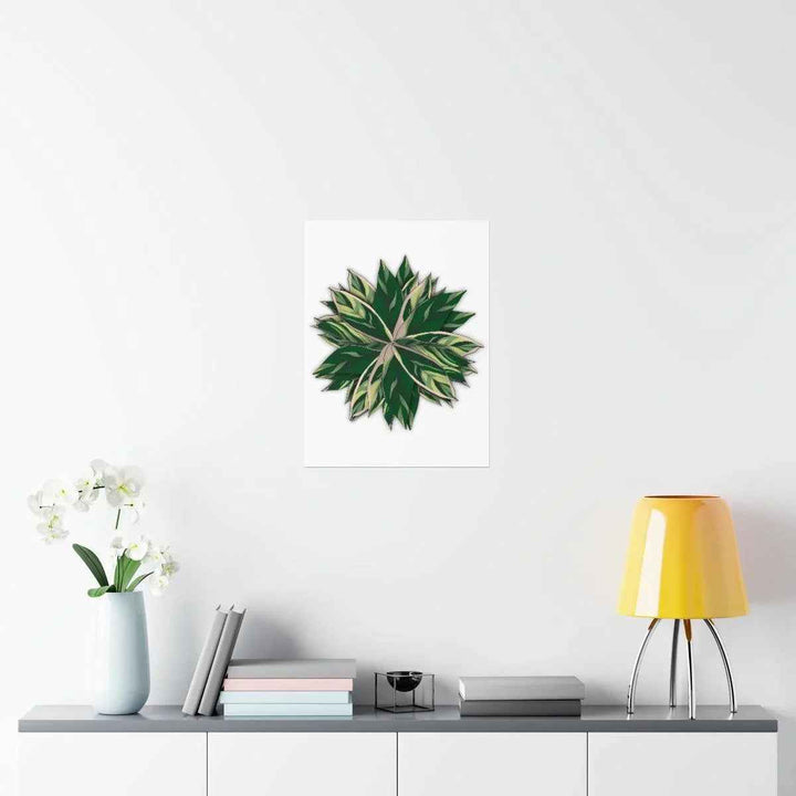 Stromanthe Triostar Print – Tropical Wall Art | Botanical Poster on Museum Grade Paper Unframed