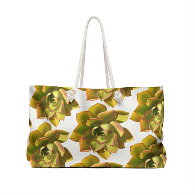 Bolsa de fin de semana suculenta Noble Aeonium