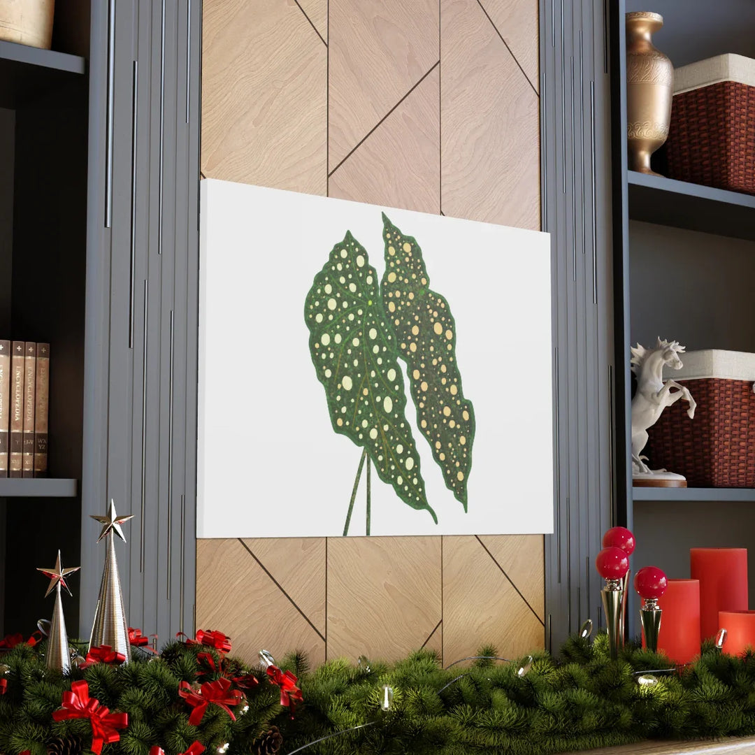 Begonia Maculata Canvas | Premium Canvas Art Print - Matte Finish, Durable Wall Decor - Laura Christine Photography & Design