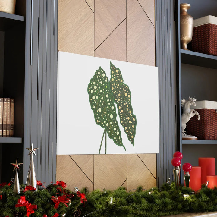 Begonia Maculata Canvas | Premium Canvas Art Print - Matte Finish, Durable Wall Decor - Laura Christine Photography & Design
