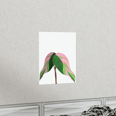 Pink Princess Philodendron Print