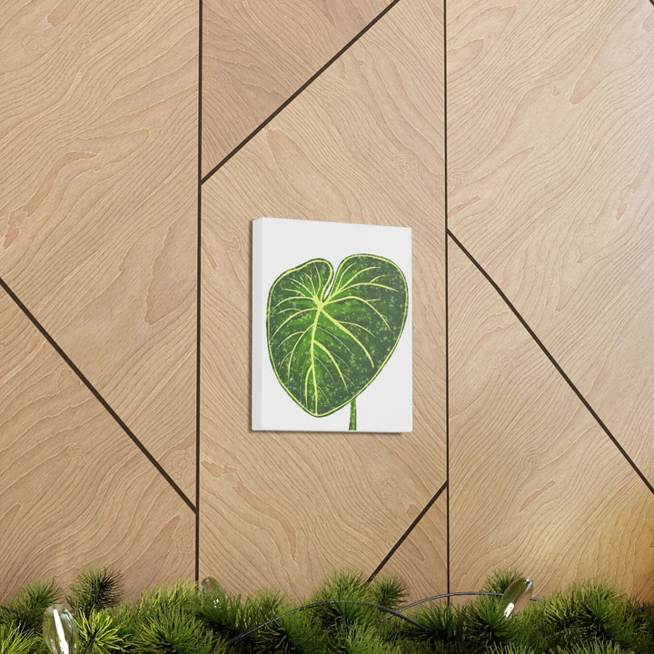 Philodendron Gloriosum Canvas - Stretched Canvas Art Print | Matte Indoor Wall Art - Laura Christine Photography & Design