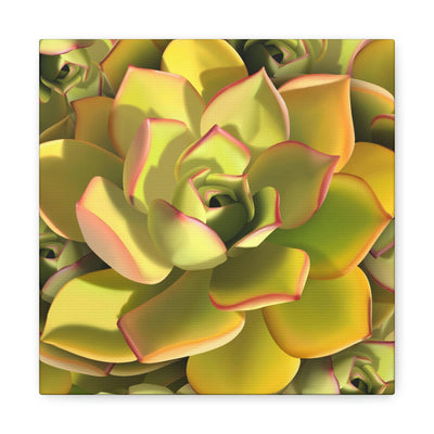 Noble Aeonium Succulent Pattern Canvas, Canvas, Printify, Art & Wall Decor, Canvas, Hanging Hardware, Home & Living, Indoor, Laura Christine Photography & Design, laurachristinedesign.com