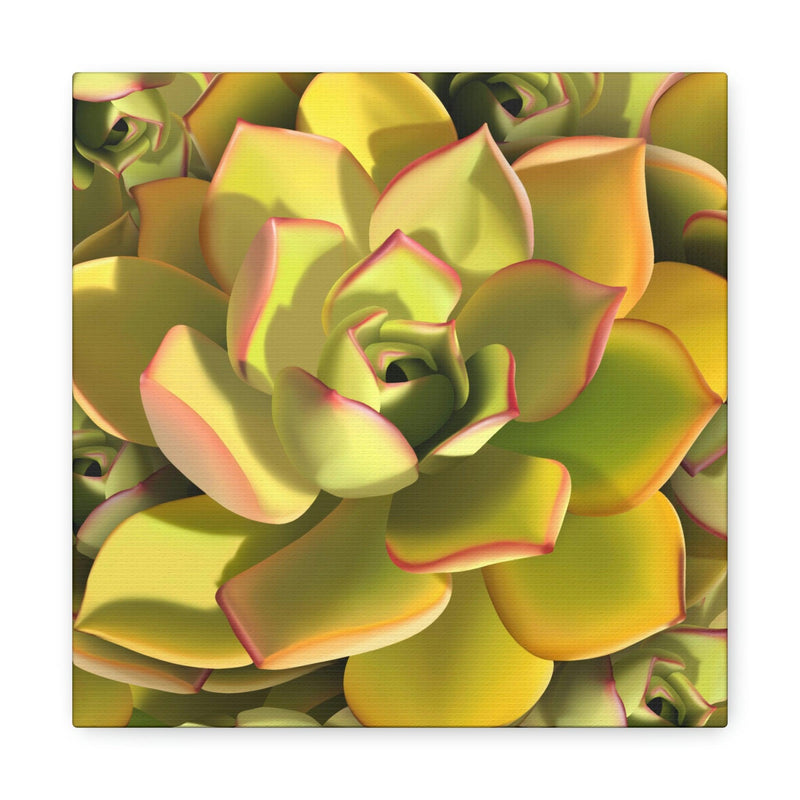 Noble Aeonium Succulent Pattern Canvas, Canvas, Printify, Art & Wall Decor, Canvas, Hanging Hardware, Home & Living, Indoor, Laura Christine Photography & Design, laurachristinedesign.com