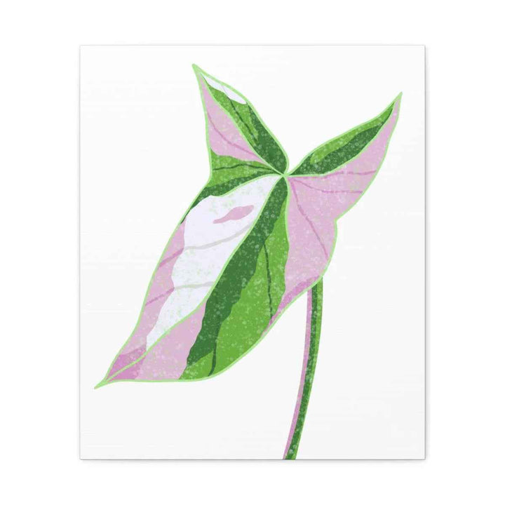 Syngonium Tricolor Canvas | Botanical Canvas Art Print With Matte Finish
