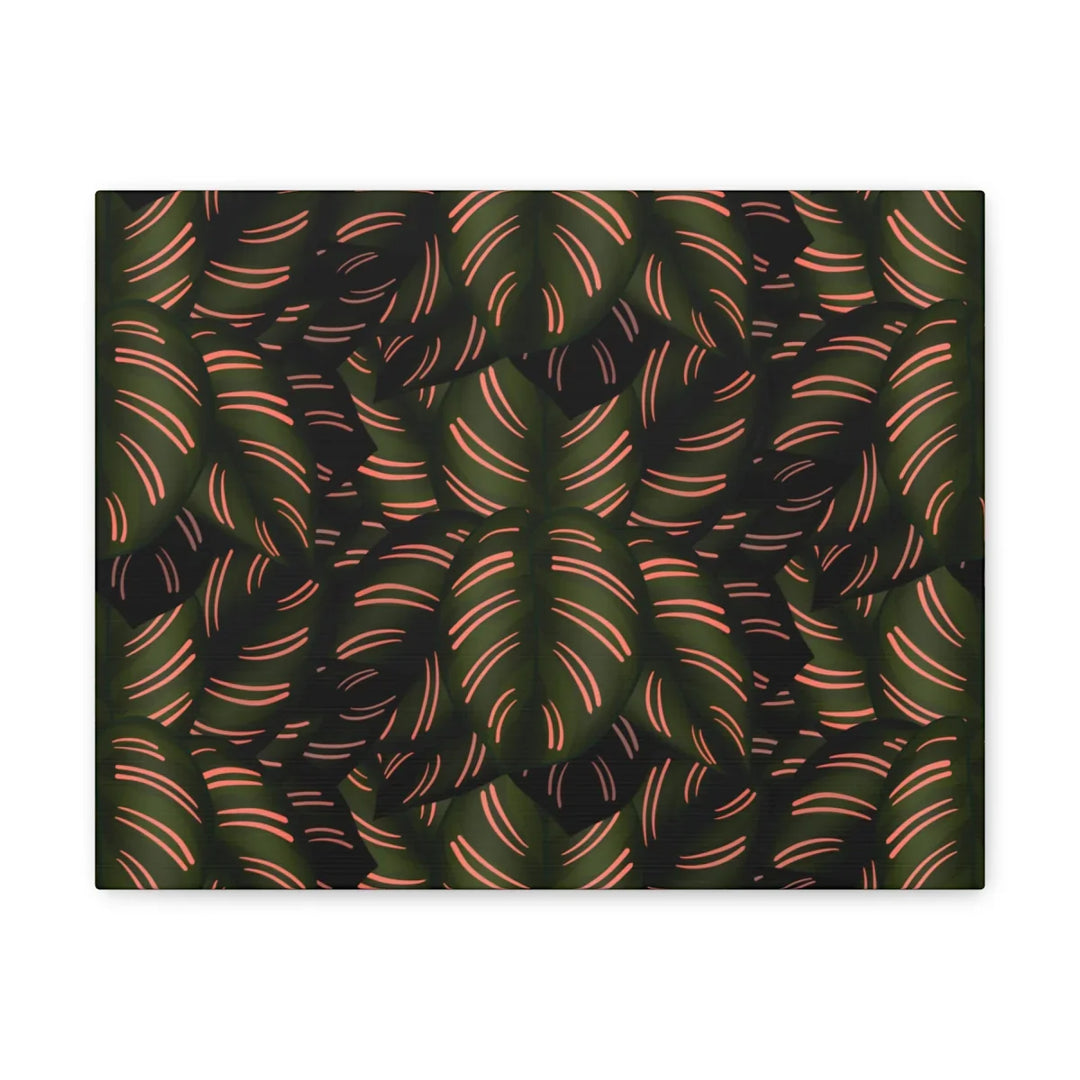 Calathea Pinstripe Canvas – Botanical Canvas Art Print | Matte Finish Wall Decor