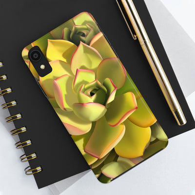 Noble Aeonium Succulent Phone Case, Phone Case, Printify, Accessories, Glossy, iPhone Cases, Matte, Phone accessory, Phone Cases, Samsung Cases, Laura Christine Photography & Design, laurachristinedesign.com