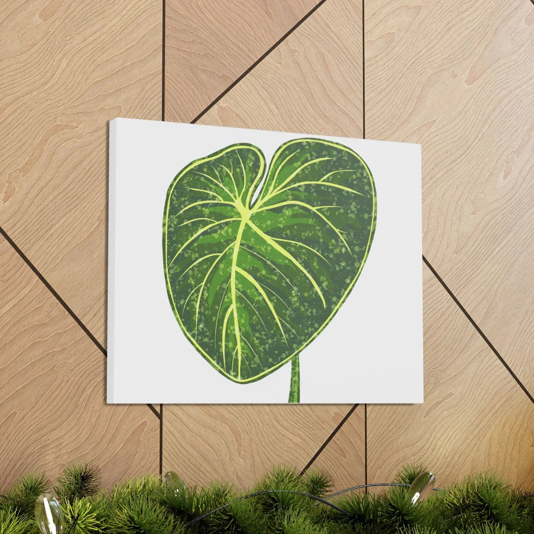 Philodendron Gloriosum Canvas - Stretched Canvas Art Print | Matte Indoor Wall Art - Laura Christine Photography & Design