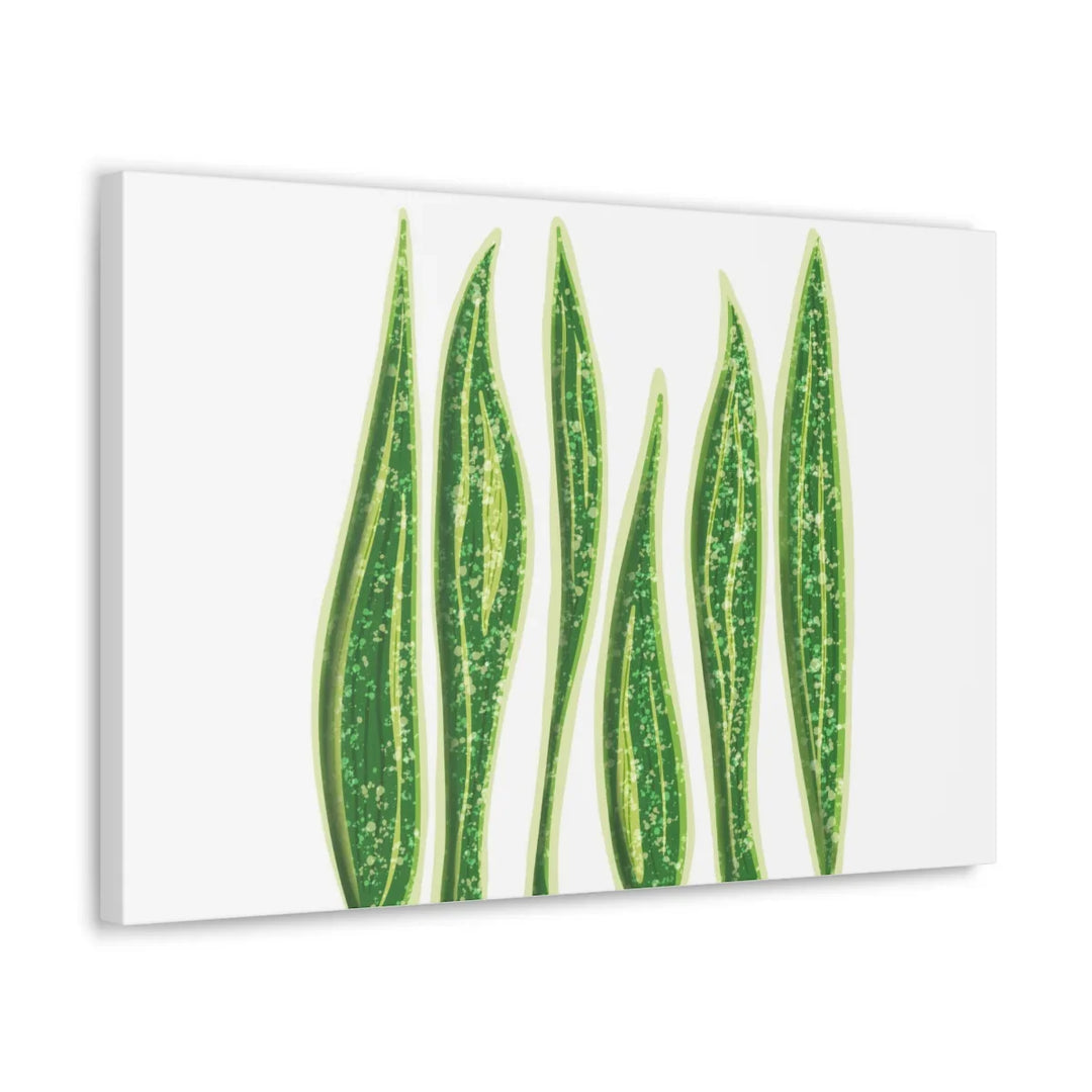 Snake Plant Canvas | Botanical Canvas Decor - Matte Finish Artwork for Living Room - Laura Christine Photography & Design