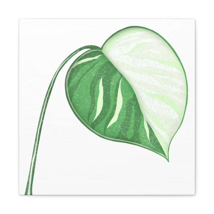 Monstera Albo Canvas | Large Tropical Leaf Artwork - Matte Finish Canvas Art Print - Laura Christine Photography & Design