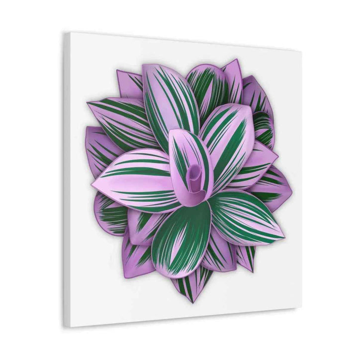Tradescantia Nanouk Canvas – Botanical Canvas Art Print | Matte Finish Wall Decor
