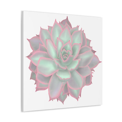 Echeveria Violet Queen Succulent Canvas, Canvas, Laura Christine Photography & Design, Art & Wall Decor, Canvas, Hanging Hardware, Home & Living, Indoor, Laura Christine Photography & Design, laurachristinedesign.com