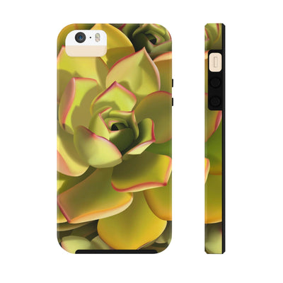 Noble Aeonium Succulent Phone Case, Phone Case, Printify, Accessories, Glossy, iPhone Cases, Matte, Phone accessory, Phone Cases, Samsung Cases, Laura Christine Photography & Design, laurachristinedesign.com