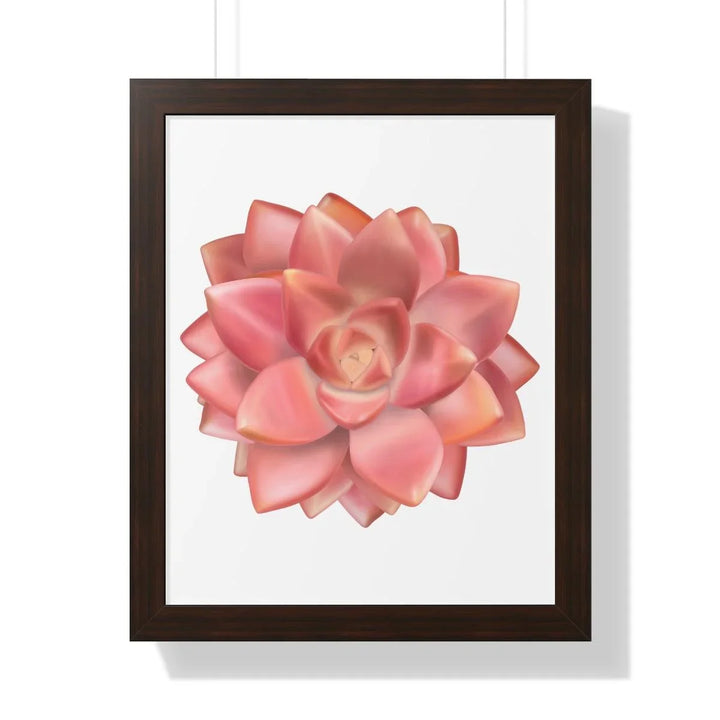 Graptosedum 'California Sunset' Succulent Framed Print, Poster, Laura Christine Photography & Design, Framed, Home & Living, Indoor, Paper, Posters, Laura Christine Photography & Design, laurachristinedesign.com