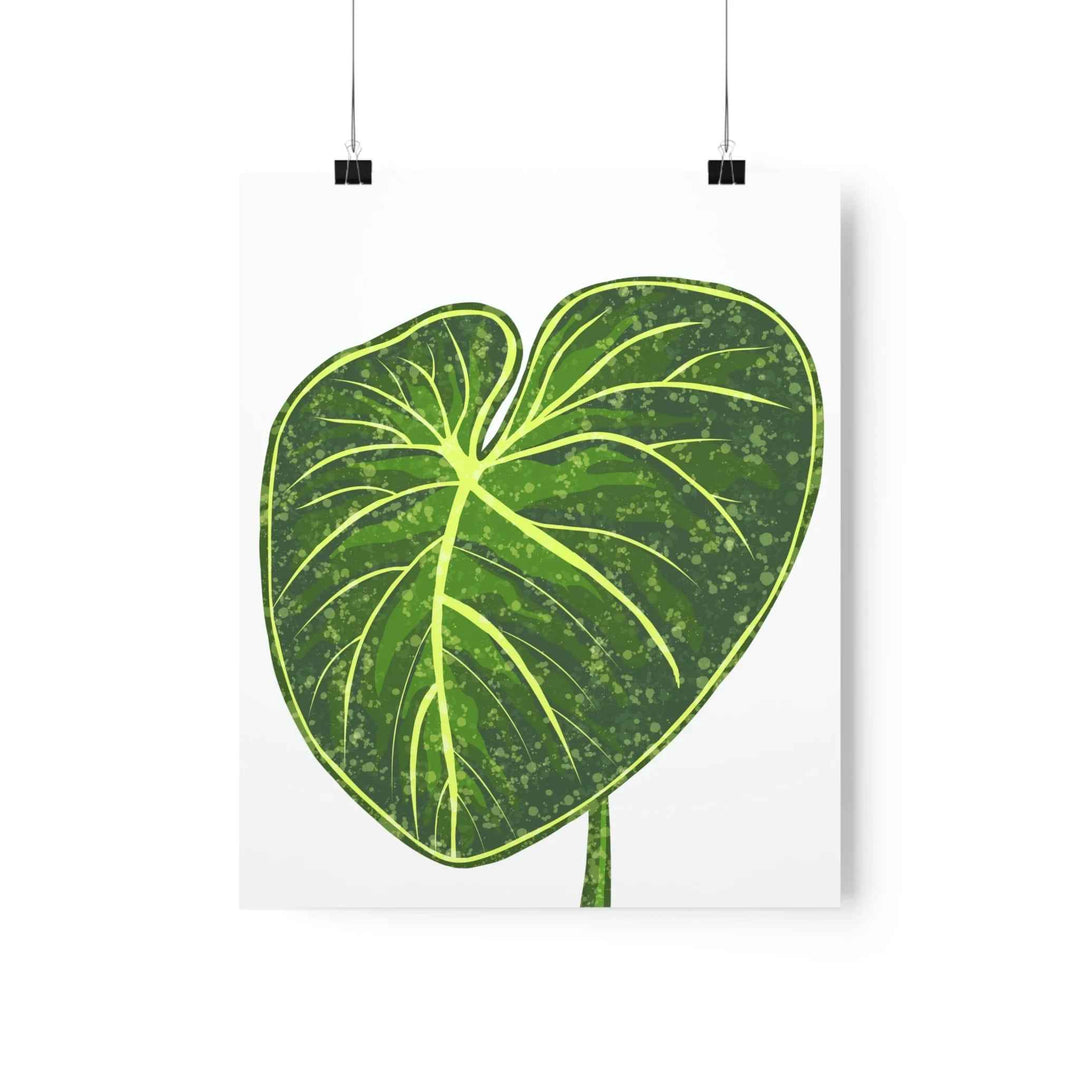 Philodendron Gloriosum Print Botanical Wall Art – Tropical Leaf Poster on Museum-Grade Paper Unframed