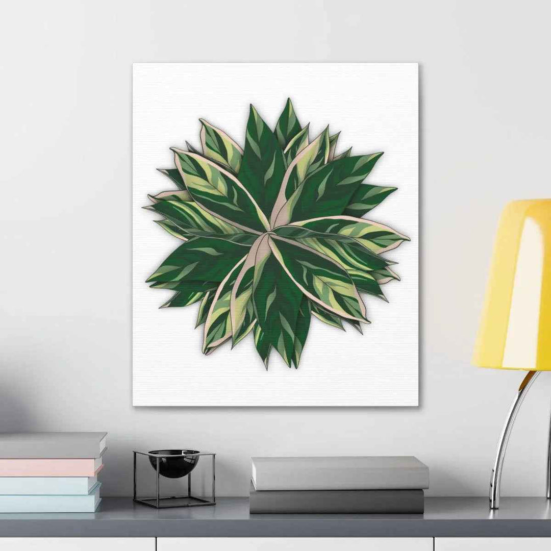 Stromanthe Triostar Canvas - Pastel Stripe Canvas Art Print With Vivid Color Artwork