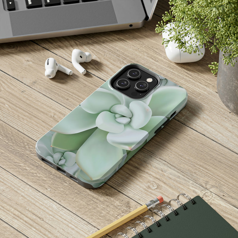 Pachyveria Haagei Succulent Phone Case, Phone Case, Printify, Accessories, Glossy, iPhone Cases, Matte, Phone accessory, Phone Cases, Samsung Cases, Laura Christine Photography & Design, laurachristinedesign.com