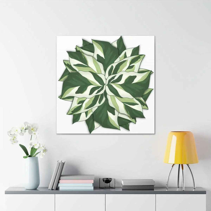 Calathea White Fusion Canvas | Indoor Wall Art - Matte Finish Botanical Canvas Art Print