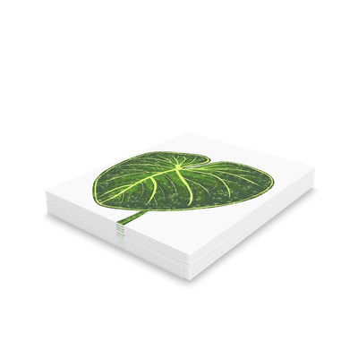 Philodendron Gloriosum Greeting Card (Blank), Paper products, Laura Christine Photography & Design, Greeting Card, Holiday Picks, Home & Living, Paper, Postcard, Postcards, Laura Christine Photography & Design, laurachristinedesign.com