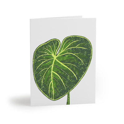 Philodendron Gloriosum Greeting Card (Blank), Paper products, Laura Christine Photography & Design, Greeting Card, Holiday Picks, Home & Living, Paper, Postcard, Postcards, Laura Christine Photography & Design, laurachristinedesign.com