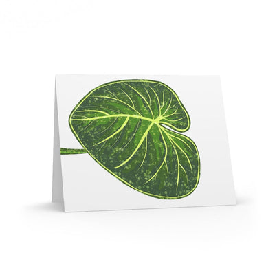 Philodendron Gloriosum Greeting Card (Blank), Paper products, Laura Christine Photography & Design, Greeting Card, Holiday Picks, Home & Living, Paper, Postcard, Postcards, Laura Christine Photography & Design, laurachristinedesign.com