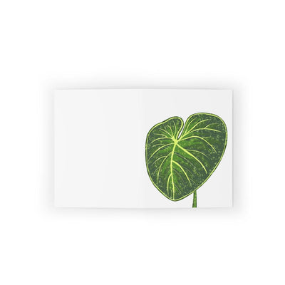 Philodendron Gloriosum Greeting Card (Blank), Paper products, Laura Christine Photography & Design, Greeting Card, Holiday Picks, Home & Living, Paper, Postcard, Postcards, Laura Christine Photography & Design, laurachristinedesign.com