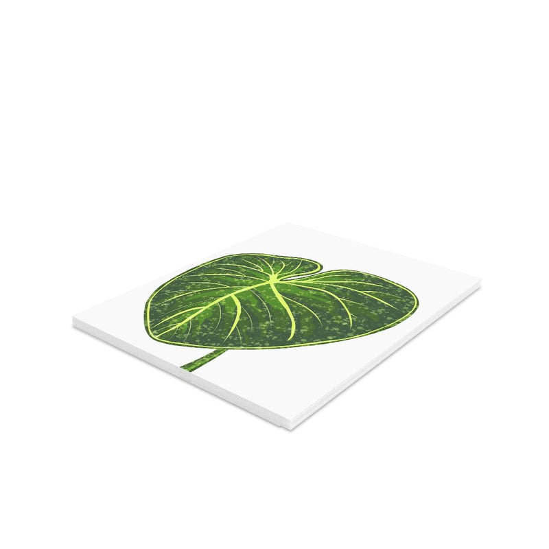 Philodendron Gloriosum Greeting Card (Blank), Paper products, Laura Christine Photography & Design, Greeting Card, Holiday Picks, Home & Living, Paper, Postcard, Postcards, Laura Christine Photography & Design, laurachristinedesign.com