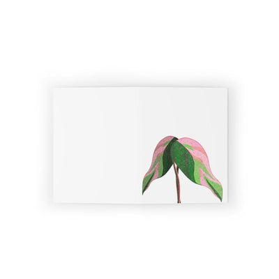 Pink Princess Philodendron Greeting Card (Blank), Paper products, Laura Christine Photography & Design, Greeting Card, Holiday Picks, Home & Living, Paper, Postcard, Postcards, Laura Christine Photography & Design, laurachristinedesign.com