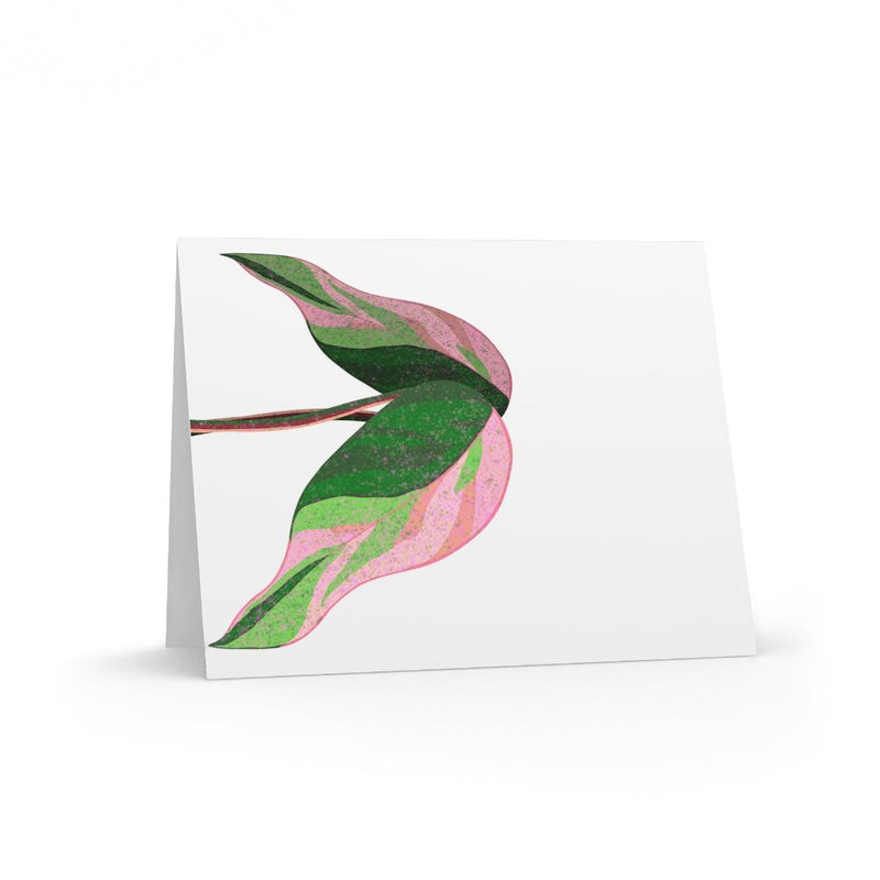 Pink Princess Philodendron Greeting Card (Blank), Paper products, Laura Christine Photography & Design, Greeting Card, Holiday Picks, Home & Living, Paper, Postcard, Postcards, Laura Christine Photography & Design, laurachristinedesign.com
