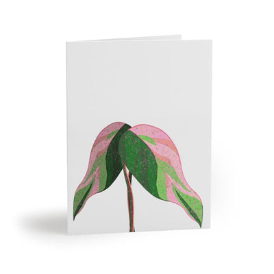 Pink Princess Philodendron Greeting Card (Blank), Paper products, Laura Christine Photography & Design, Greeting Card, Holiday Picks, Home & Living, Paper, Postcard, Postcards, Laura Christine Photography & Design, laurachristinedesign.com