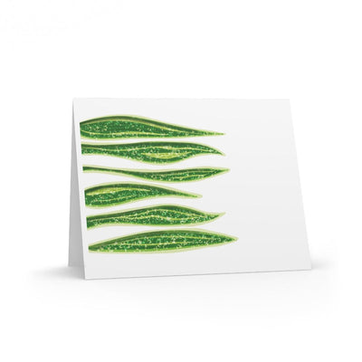 Snake Plant Greeting Card (Blank), Paper products, Laura Christine Photography & Design, Greeting Card, Holiday Picks, Home & Living, Paper, Postcard, Postcards, Laura Christine Photography & Design, laurachristinedesign.com